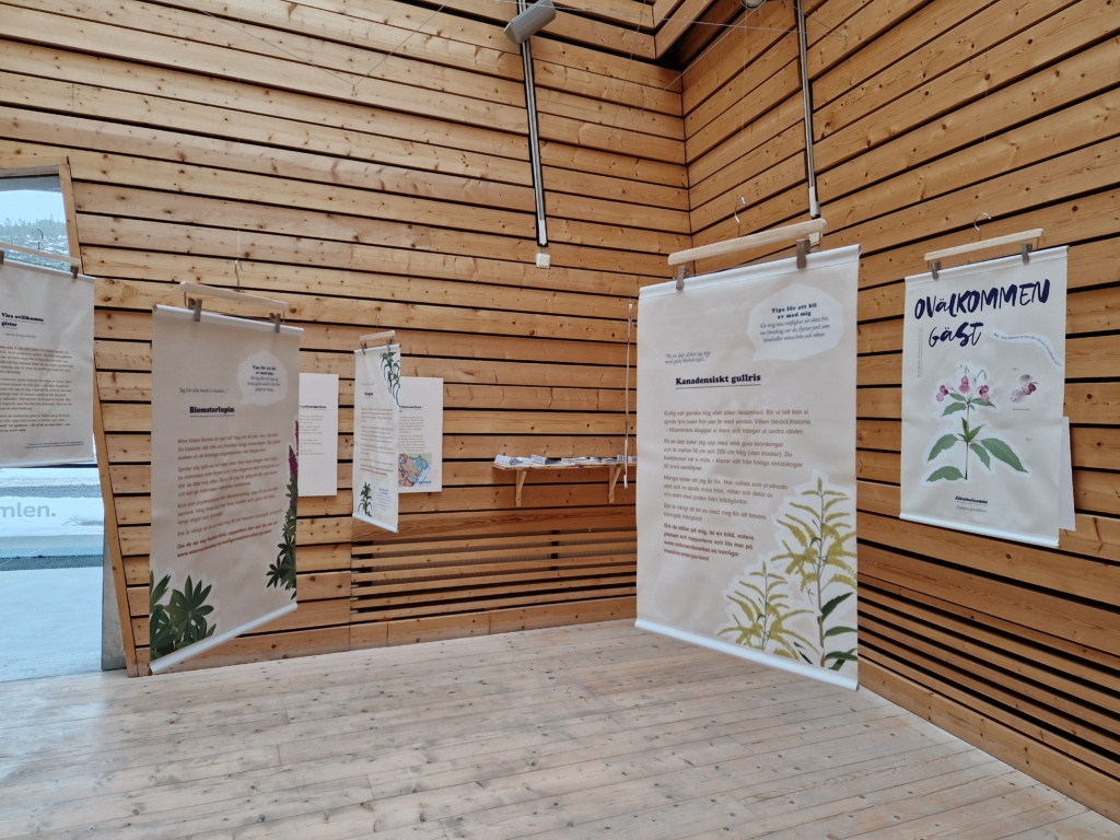 Bild på utställning